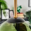 Gastor ceiling light, globe light gold, black, 5-light sources