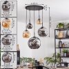 Ripoll hanging light, globe light, pendant light Amber, Smoke-coloured, 5-light sources