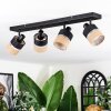 Fallhagen ceiling light, ceiling spotlight black, 4-light sources