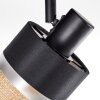 Fallhagen ceiling light, ceiling spotlight black, 4-light sources