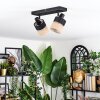 Fallhagen ceiling light, ceiling spotlight black, 2-light sources