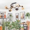 Koyoto ceiling light, globe light gold, black, 10-light sources