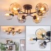 Ripoll ceiling light, globe light Amber, clear, Smoke-coloured, 6-light sources