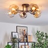 Ripoll ceiling light, globe light Amber, clear, Smoke-coloured, 6-light sources