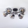 Ripoll ceiling light, globe light clear, Smoke-coloured, 6-light sources
