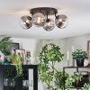 Chehalis ceiling light, globe light clear, Smoke-coloured, 4-light sources
