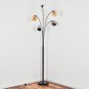 Koyoto globe light, floor lamp Amber, chrome, clear, Smoke-coloured, 5-light sources