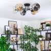 Ripoll ceiling light, globe light Amber, clear, Smoke-coloured, 6-light sources