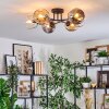 Ripoll ceiling light, globe light Amber, clear, Smoke-coloured, 6-light sources