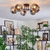 Ripoll ceiling light, globe light Smoke-coloured, 6-light sources
