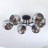Ripoll ceiling light, globe light Smoke-coloured, 6-light sources
