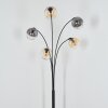 Koyoto globe light, floor lamp Amber, clear, Smoke-coloured, 5-light sources