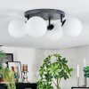 Chehalis ceiling light, globe light white, 4-light sources