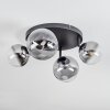 Chehalis ceiling light, globe light clear, Smoke-coloured, 4-light sources