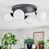 Chehalis ceiling light, globe light white, 4-light sources