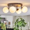 Chehalis ceiling light, globe light white, 4-light sources