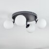 Chehalis ceiling light, globe light white, 4-light sources