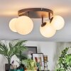 Chehalis ceiling light, globe light white, 4-light sources