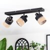 Fallhagen ceiling light, ceiling spotlight black, 3-light sources
