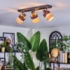 Fallhagen ceiling light, ceiling spotlight black, 3-light sources