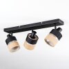 Fallhagen ceiling light, ceiling spotlight black, 3-light sources