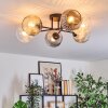 Ripoll ceiling light, globe light Amber, clear, Smoke-coloured, 6-light sources