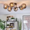 Ripoll ceiling light, globe light Smoke-coloured, 6-light sources