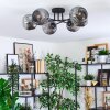 Ripoll ceiling light, globe light Smoke-coloured, 6-light sources
