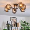 Ripoll ceiling light, globe light Smoke-coloured, 6-light sources