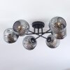 Ripoll ceiling light, globe light Smoke-coloured, 6-light sources