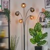 Koyoto globe light, floor lamp Amber, chrome, Smoke-coloured, 5-light sources