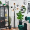 Koyoto globe light, floor lamp Amber, chrome, Smoke-coloured, 5-light sources