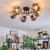 Ripoll ceiling light, globe light chrome, clear, Smoke-coloured, 6-light sources