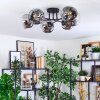 Ripoll ceiling light, globe light chrome, clear, Smoke-coloured, 6-light sources