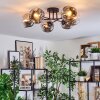Ripoll ceiling light, globe light chrome, clear, Smoke-coloured, 6-light sources