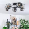Ripoll ceiling light, globe light clear, Smoke-coloured, 6-light sources