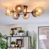 Ripoll ceiling light, globe light Amber, clear, Smoke-coloured, 6-light sources