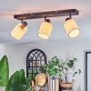 Fallhagen ceiling light, ceiling spotlight black, 3-light sources