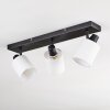 Fallhagen ceiling light, ceiling spotlight black, 3-light sources