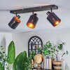 Fallhagen ceiling light, ceiling spotlight black, 3-light sources