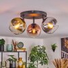 Koyoto ceiling light, globe light chrome, clear, coppery, Smoke-coloured, 3-light sources