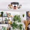Koyoto ceiling light, globe light chrome, clear, coppery, Smoke-coloured, 3-light sources