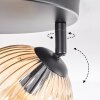 Koyoto ceiling light, globe light Amber, clear, Smoke-coloured, 3-light sources