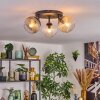 Koyoto ceiling light, globe light Amber, clear, Smoke-coloured, 3-light sources