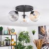 Koyoto ceiling light, globe light Amber, clear, Smoke-coloured, 3-light sources