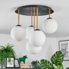 Gastor ceiling light, globe light brass, black, 5-light sources