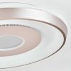 Dakon ceiling light LED Champagne, white, 1-light source