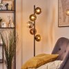 Koyoto globe light, floor lamp 32 cm chrome, gold, clear, coppery, Smoke-coloured, 5-light sources