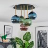 Koyoto ceiling light, globe light brass, black, 5-light sources