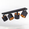 Alsen ceiling light, ceiling spotlight black, 4-light sources